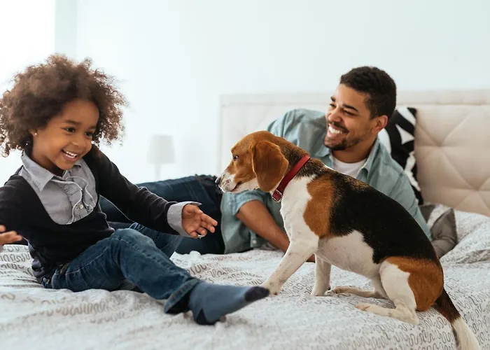 シタディーン アパートホテル クレベール ストラスブール